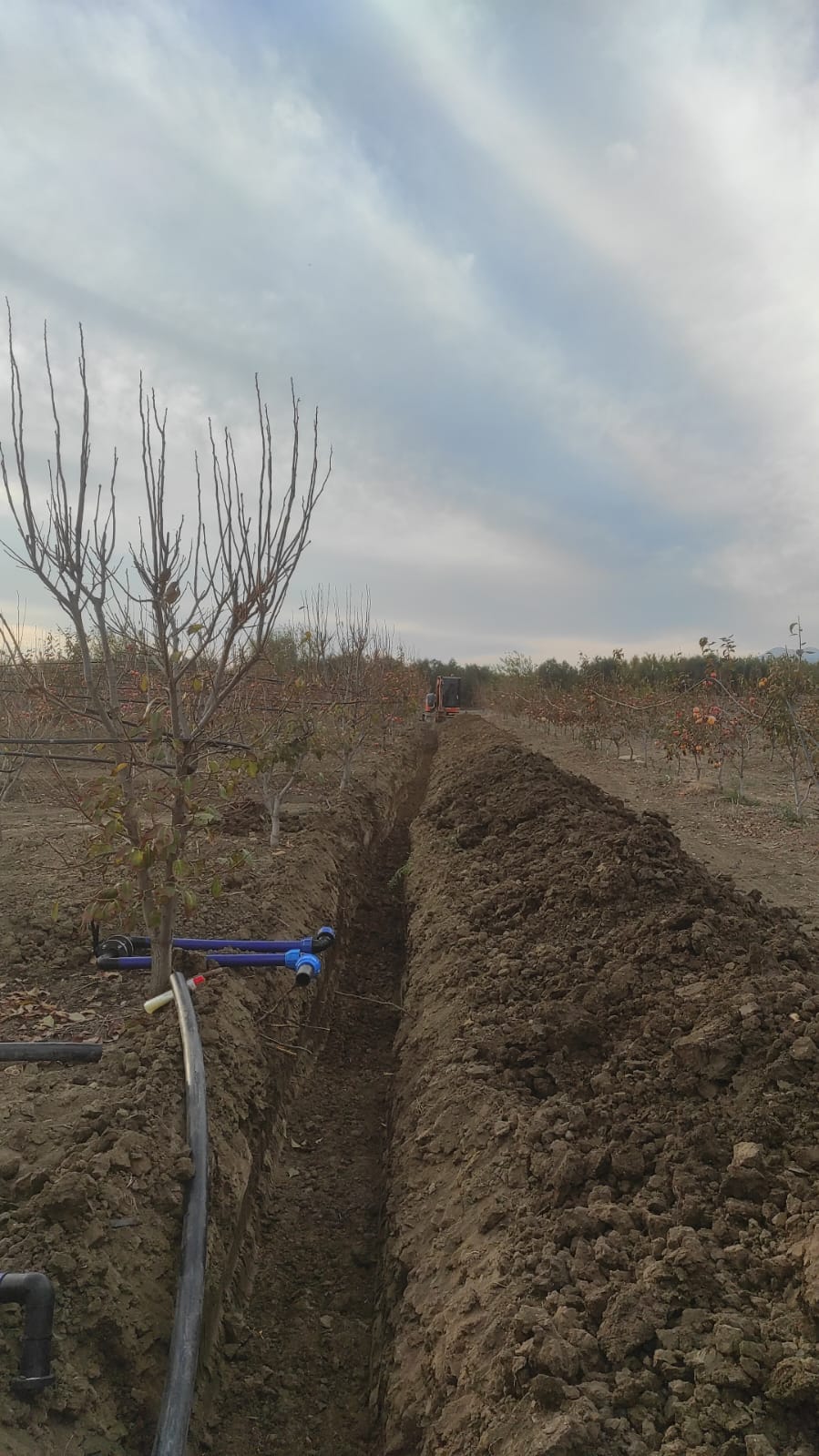 Filtre saha görseli